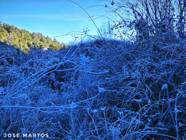 Paraje de los Villarejos recubierto de escarcha (Noalejo.Jaén)