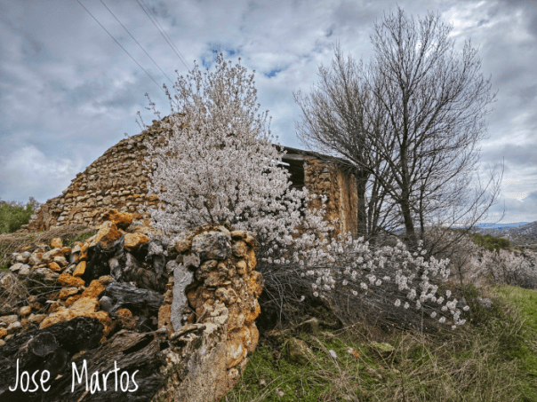 Ruinas del Cortijo de los Villarejos