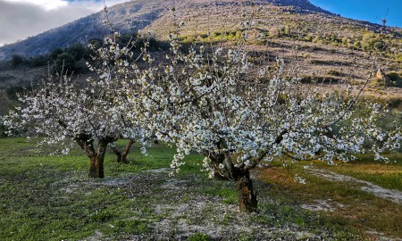 Atardecer en los Villarejos (Noalejo)